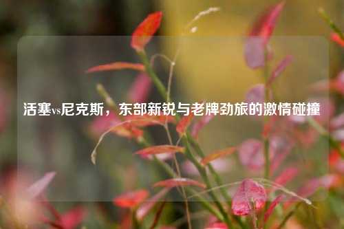 活塞vs尼克斯，东部新锐与老牌劲旅的激情碰撞