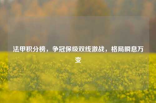 法甲积分榜，争冠保级双线激战，格局瞬息万变