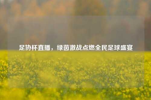 足协杯直播，绿茵激战点燃全民足球盛宴