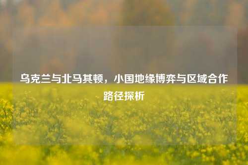 乌克兰与北马其顿，小国地缘博弈与区域合作路径探析