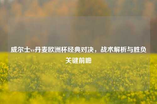 威尔士vs丹麦欧洲杯经典对决，战术解析与胜负关键前瞻