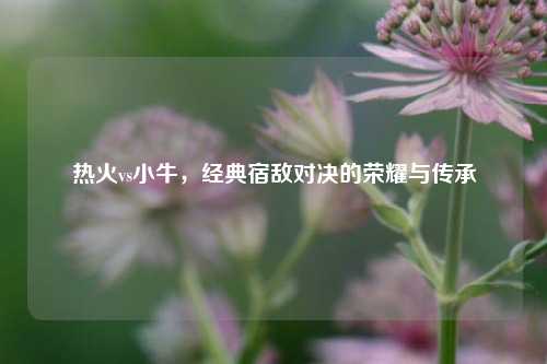 热火vs小牛，经典宿敌对决的荣耀与传承