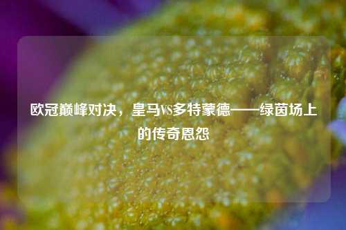 欧冠巅峰对决，皇马VS多特蒙德——绿茵场上的传奇恩怨