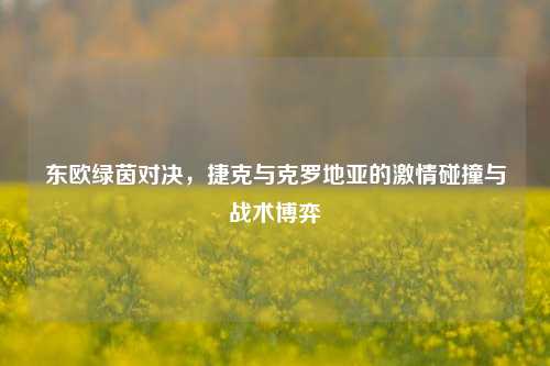 东欧绿茵对决，捷克与克罗地亚的激情碰撞与战术博弈