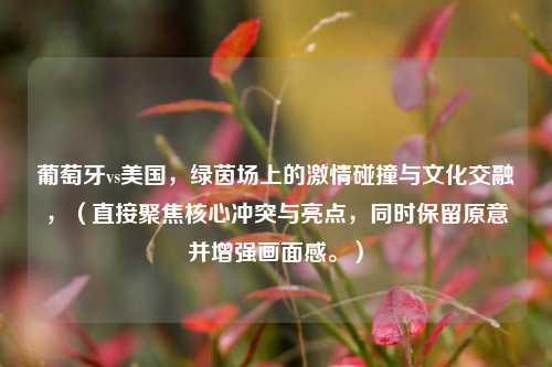 葡萄牙vs美国，绿茵场上的激情碰撞与文化交融，（直接聚焦核心冲突与亮点，同时保留原意并增强画面感。）