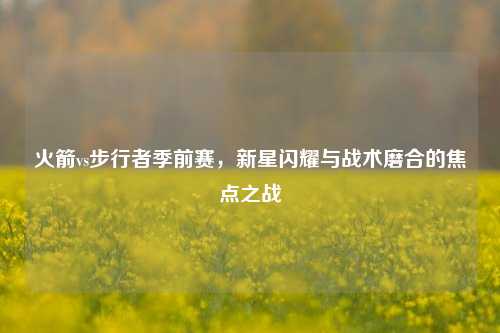 火箭vs步行者季前赛,新星闪耀与战术磨合的焦点之战