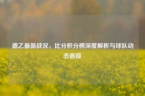德乙最新战况，比分积分榜深度解析与球队动态追踪